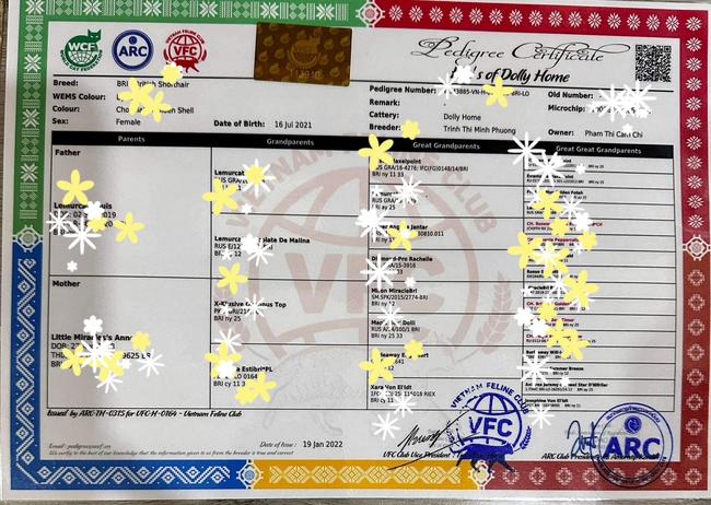 Giấy tờ VFC của chú mèo (hình ảnh chủ nhân bé mèo chia sẻ).