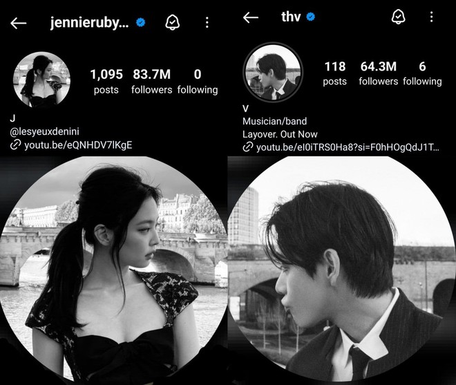 V như để ảnh đại diện đôi 