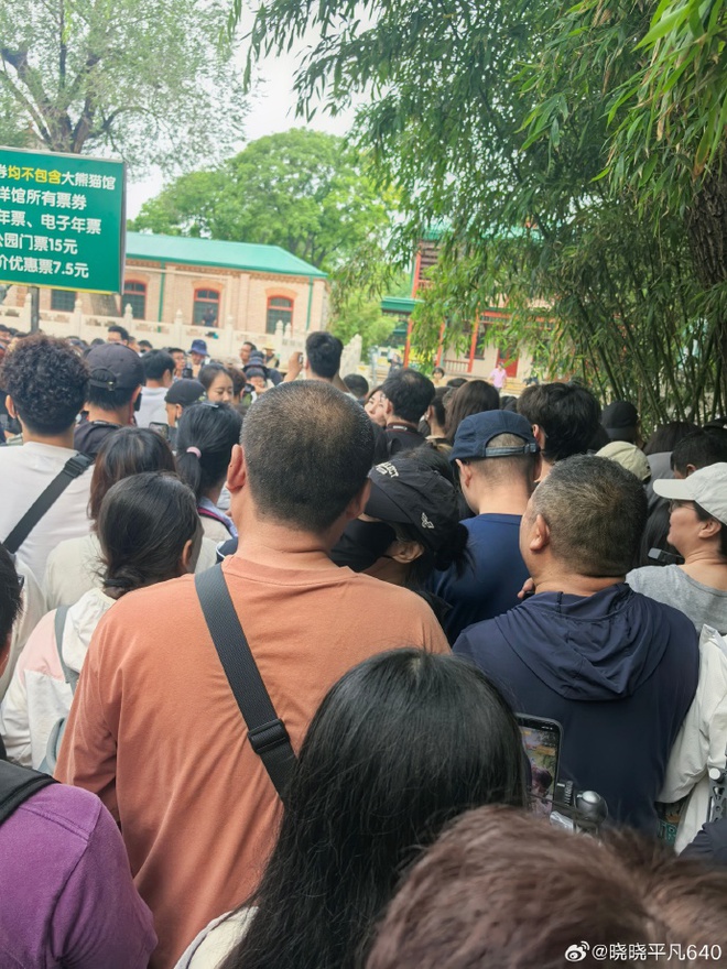 Hàng dài người xếp hàng trước Sở thú Bắc Kinh để gặp Manh Lan