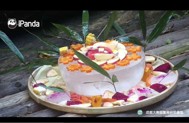 Chiếc bánh kem đặc biệt mừng sinh nhật hai chú gấu trúc