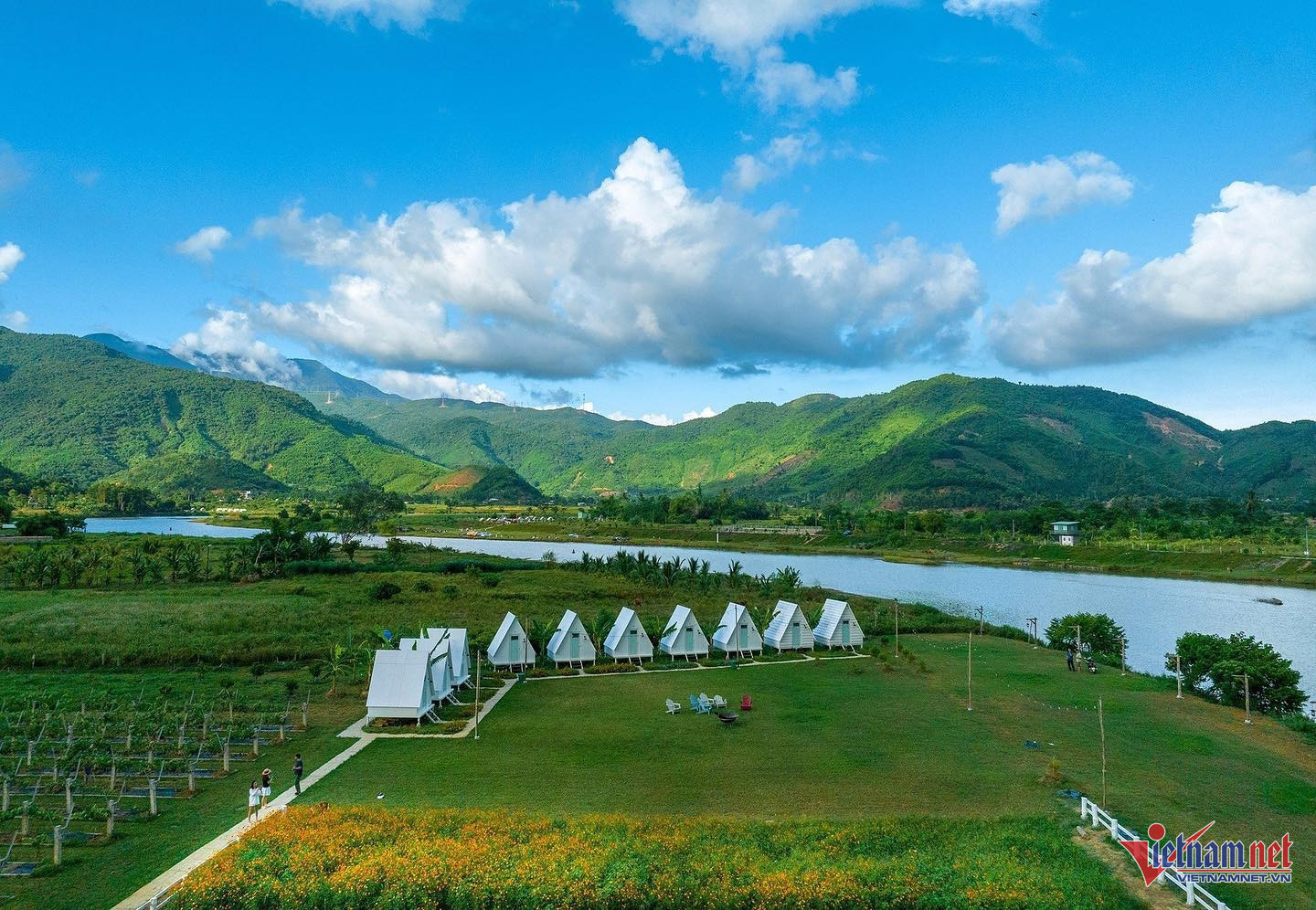 Vườn nho nằm cạnh dòng sông Cu Đê, là mô hình thí điểm phát triển nông nghiệp kết hợp khai thác du lịch. Ảnh: D.Thùy