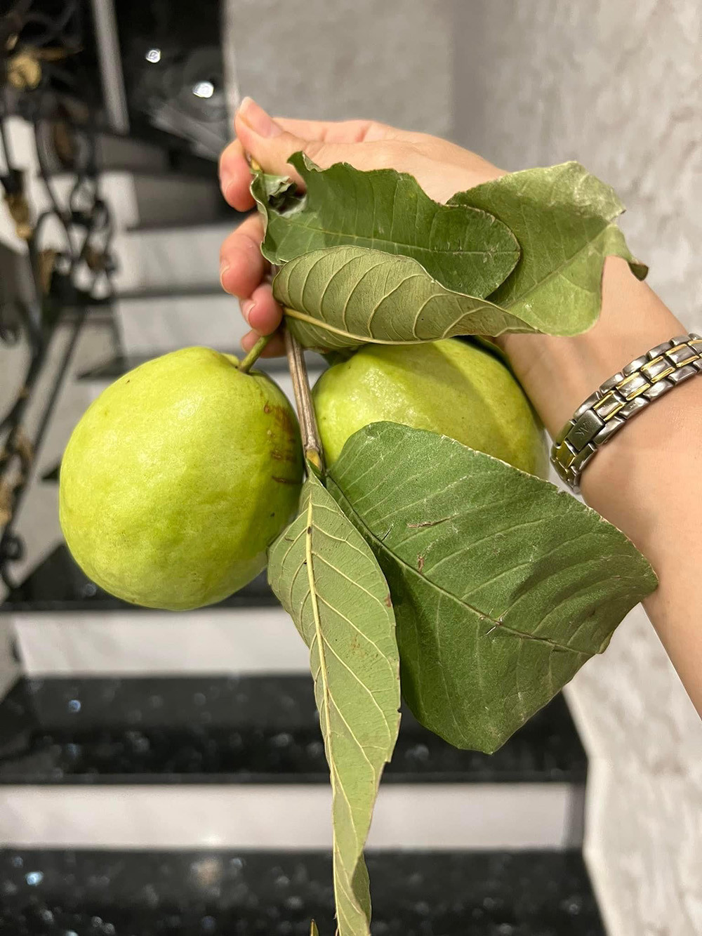 Nữ ca sĩ có sở thích trồng trọt và thường xuyên chia sẻ thành quả chăm sóc cây trái, hoa màu.