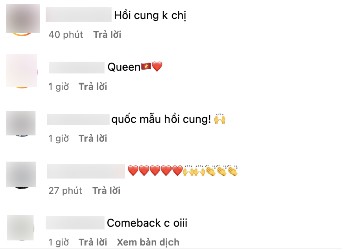 Netizen cho rằng Phạm Hương nên sớm tái xuất