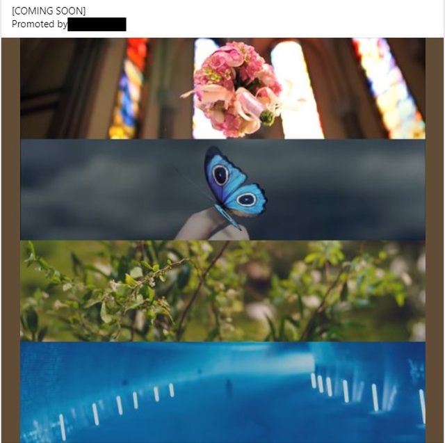 Những hình ảnh trích trong MV của Park Bom khiến nhiều người càng tin việc cô đến Việt Nam làm concert là đúng