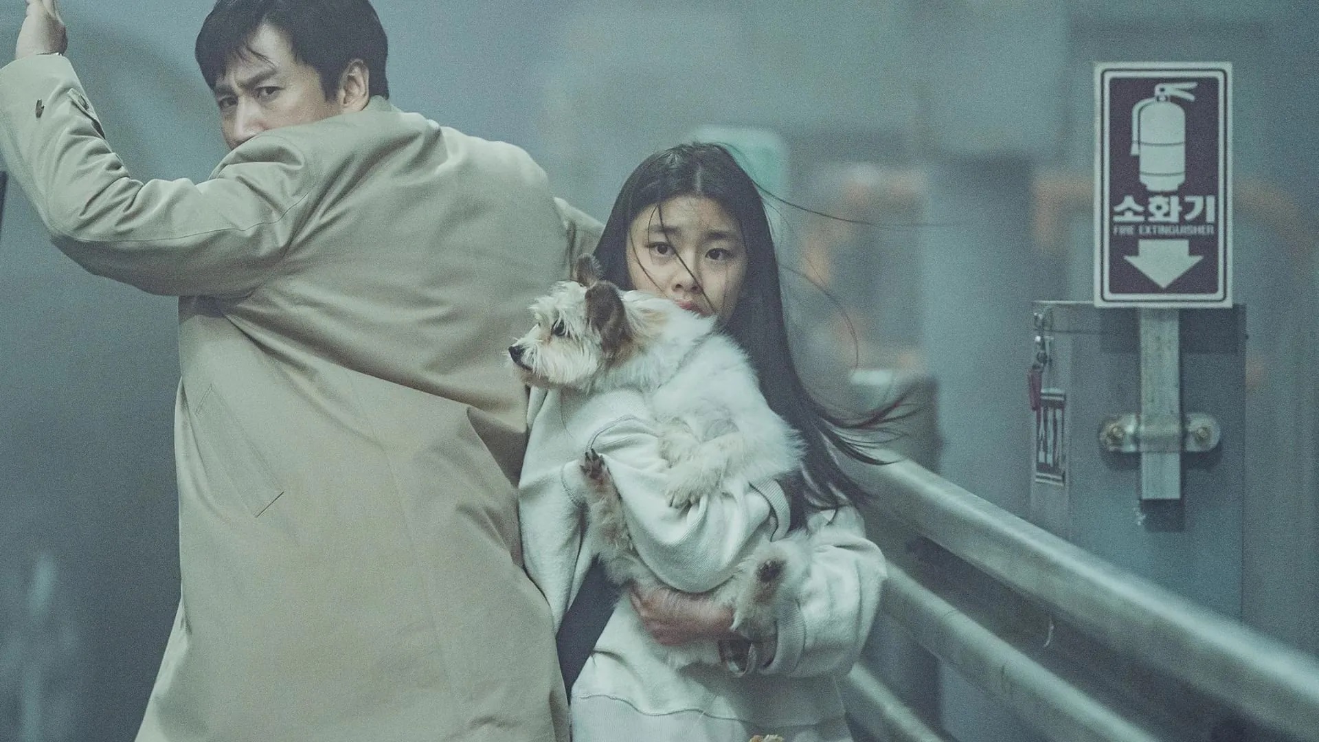 Nếu từng yêu mến tài năng của Lee Sun Kyun, bạn nên ra rạp thưởng thức 