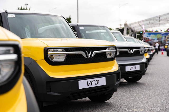 Ảnh: Hồ Minh Đức