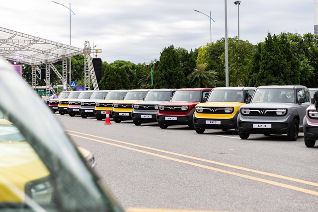 Dàn xe VF 3 tại sự kiện bàn giao sáng 1/8.