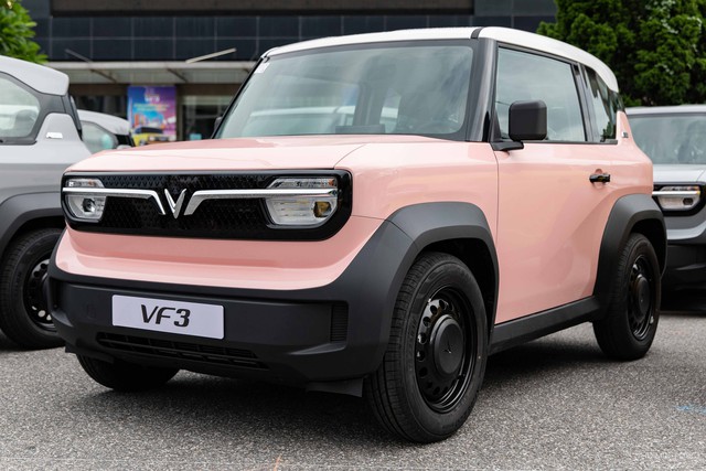 Ảnh: Hồ Minh Đức