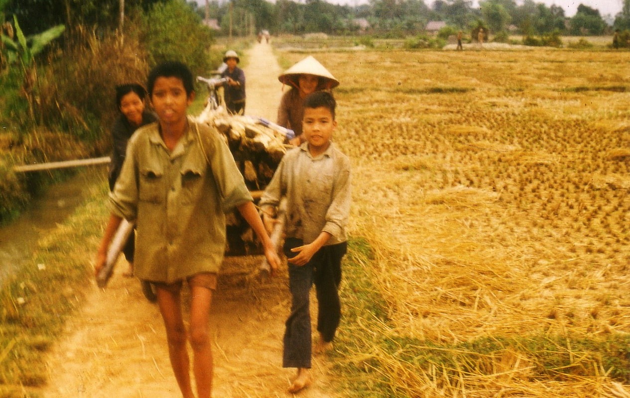 Hai cậu bé giúp gia đình kéo xe chở củi về nhà.