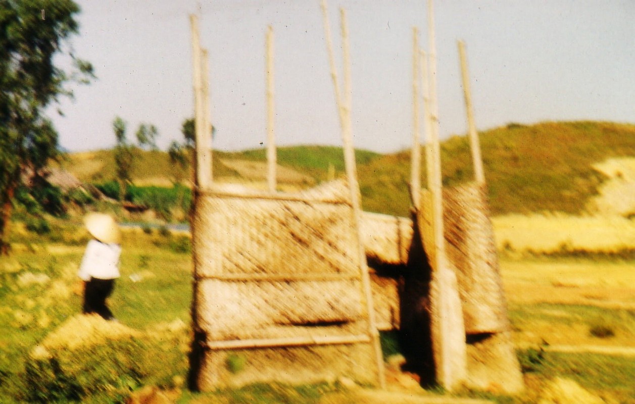 Nhà vệ sinh giữa cánh đồng.