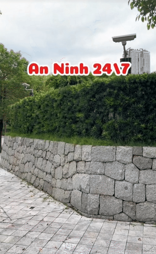 (Nguồn: @ledinhminhofficial)