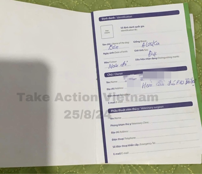 Hình ảnh chú chó Alaska ngủ ngon lành sau khi được giải cứu và bàn giao cho một người chủ mới 