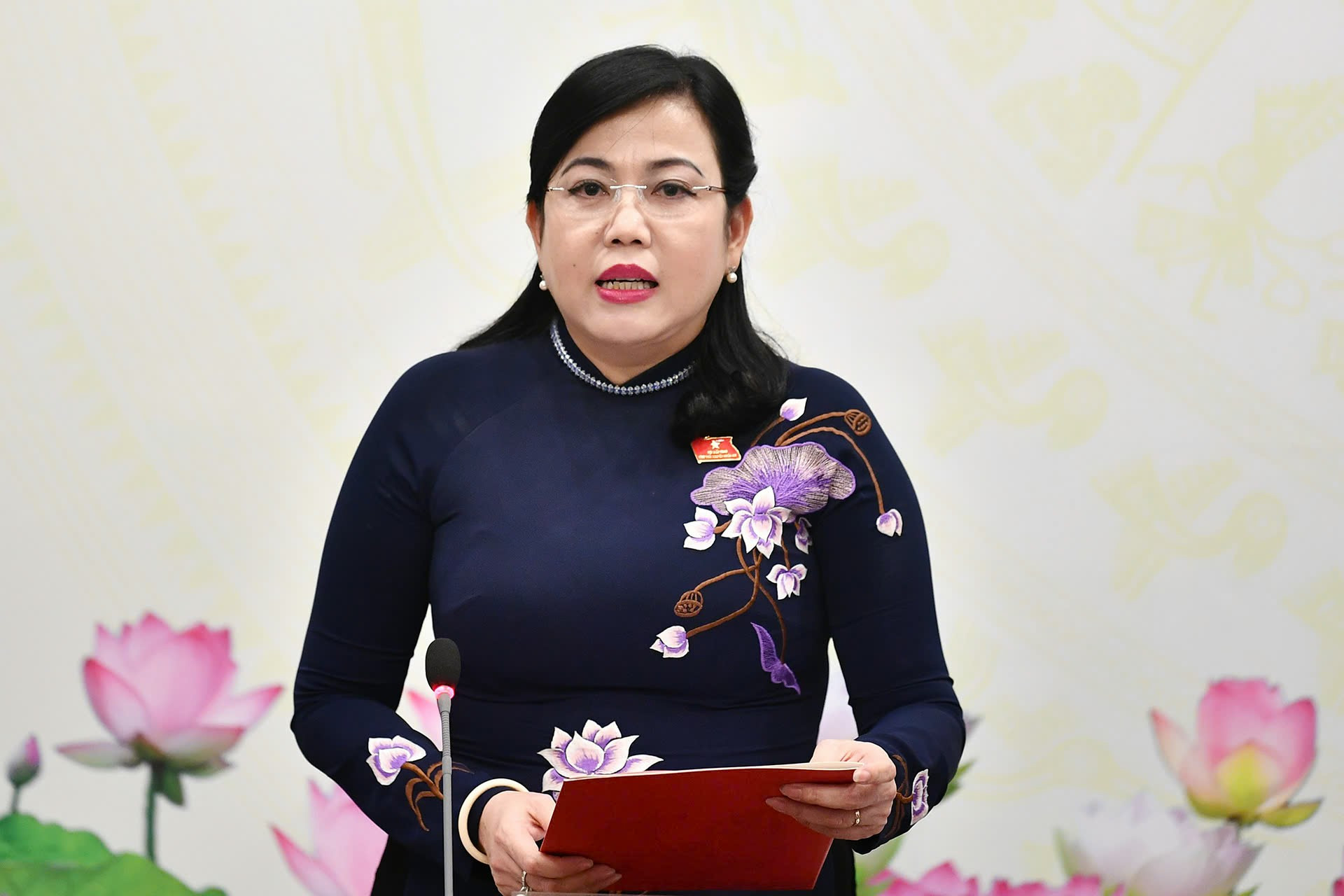 Trưởng Ban Công tác đại biểu, Phó trưởng Ban Tổ chức Trung ương Nguyễn Thanh Hải. Ảnh: Hoàng Hà