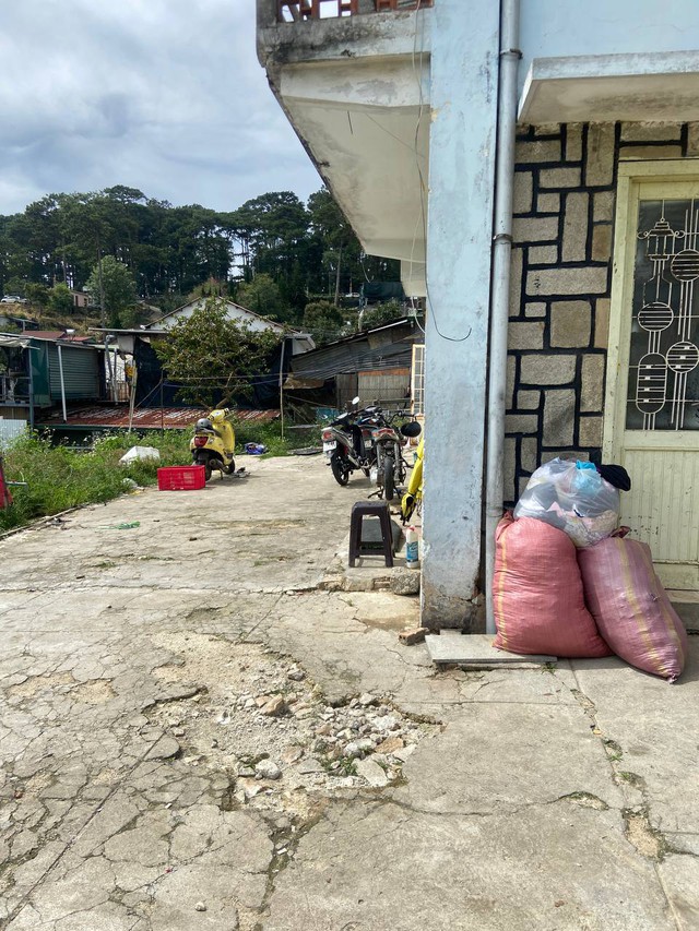 Được biết, hiện tại chú chó Alaska đã được đưa đi khỏi ngôi nhà này và do người khác chăm sóc