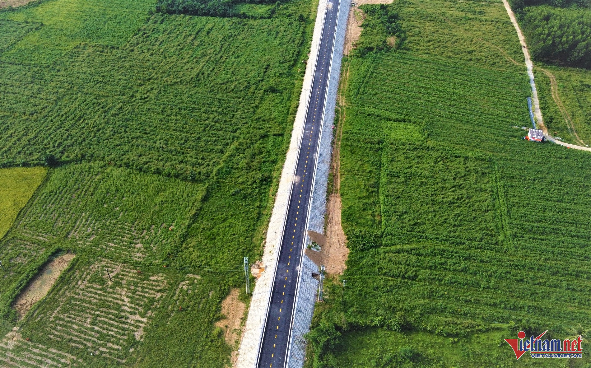 Dọc hai bên đường là những cánh đồng xanh ngát.