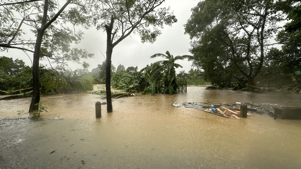 Do mực nước sông Hồng tại Hà Nội đang vượt mức báo động 2. Nước lũ gây ngập lụt vùng ven sông, vùng trũng thấp và nhiều vùng sản xuất nông nghiệp, vùng dân cư trên địa bàn Hà Nội.