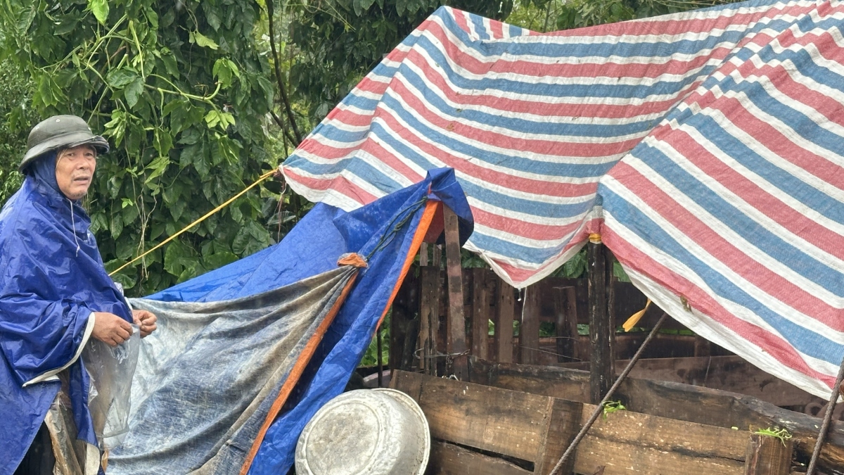 Người dân Thúy Lĩnh căng minh bảo vệ hoa màu, vật nuôi.