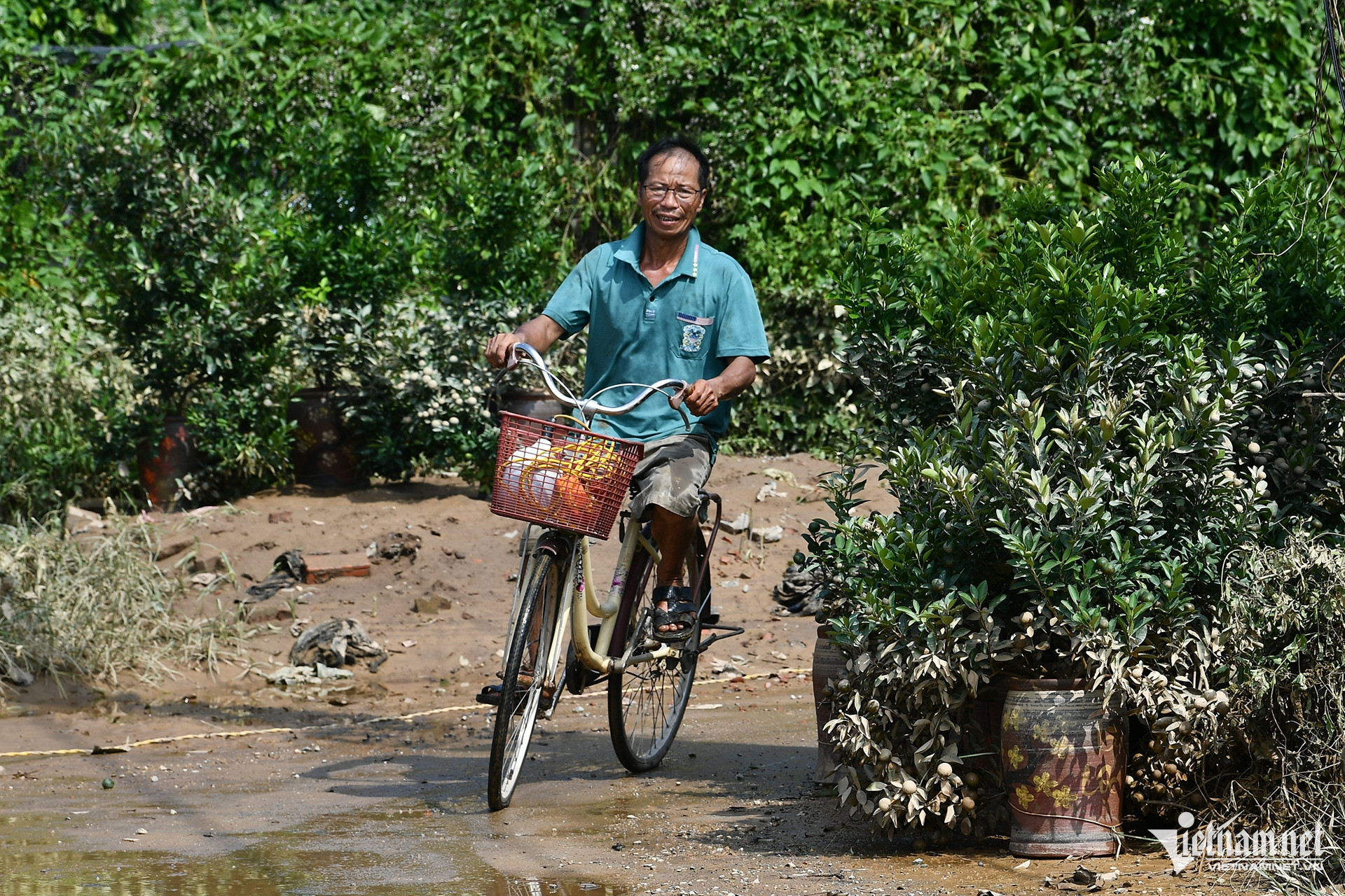 Đi khắp cánh đồng Nhật Tân, đâu đâu cũng thấy những bùn đất đọng lại ở phần dưới của cây. Ước tính khu vực ngập nông nhất cũng gần 80cm.