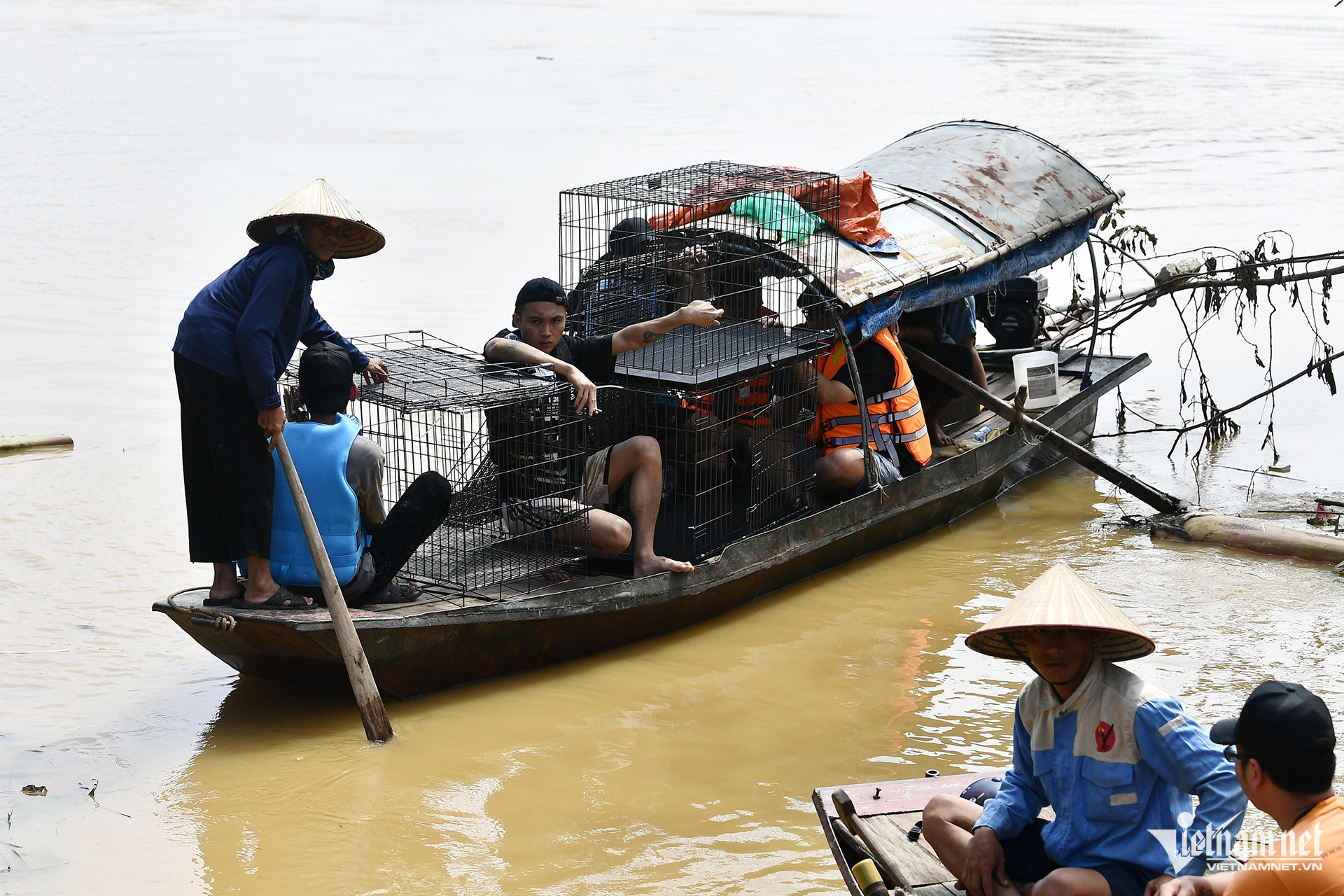 Trong sáng nay, bà con nông dân mới đi thuyền mang lồng ra các vườn phía xa để cứu chó. Được biết, mỗi nhà vườn đều nuôi từ một đến vài con chó để trông giữ cây cảnh.