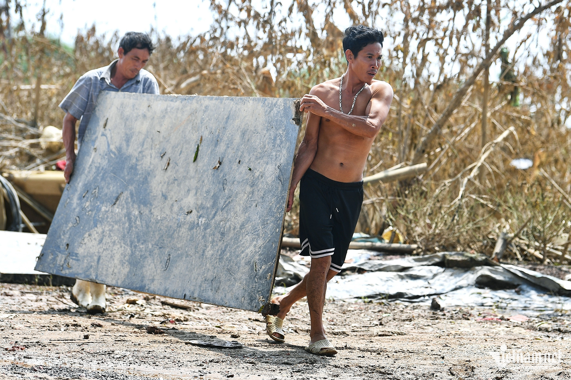 Còn theo báo cáo của UBND phường Nhật Tân, mực nước dâng cao trên sông Hồng khiến toàn địa bàn có khoảng 25,5ha đất bãi ngập với khoảng 20.000 cây đào bị ngập nước.