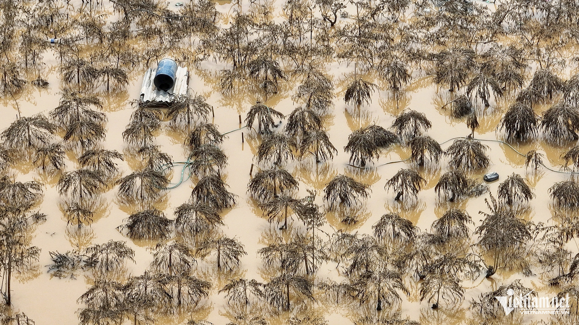 Bà Nghị tâm sự, biết trước sẽ ngập sâu mà không làm gì được. 