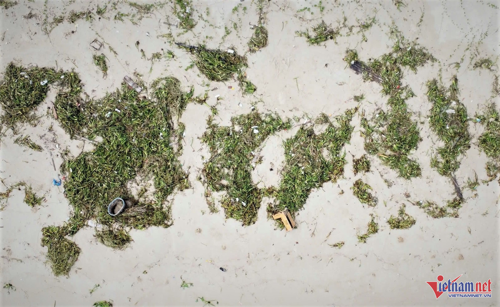 Các loại rác tấp vào bờ biển chủ yếu là bèo tây, bao nilon, chai nhựa đã qua sử dụng, ngư lưới cụ và cây củi khô