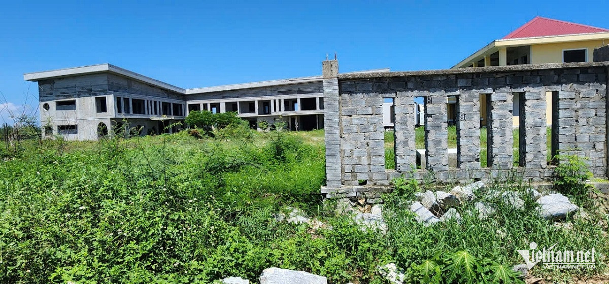 Hàng rào xây dựng dở dang, khuôn viên cỏ mọc um tùm. Ảnh: Hải Sâm