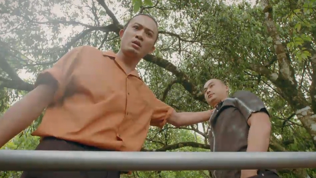 Hồng sốc trước sự 