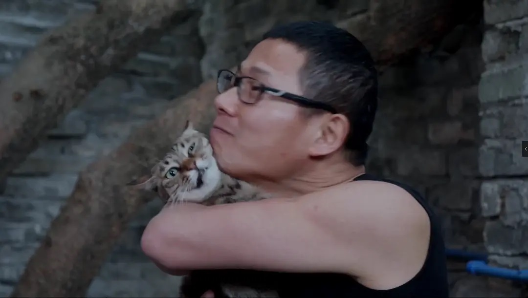 Nam chính Lưu Quân Vũ tự mình thực hiện nhiều công việc trong Hiệu Sách Đêm Trắng