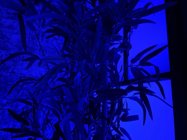 iPhone 12 thực sự chụp ảnh khá tốt trong phòng tối, nhưng hình ảnh của iPhone 16 lại sắc nét hơn.