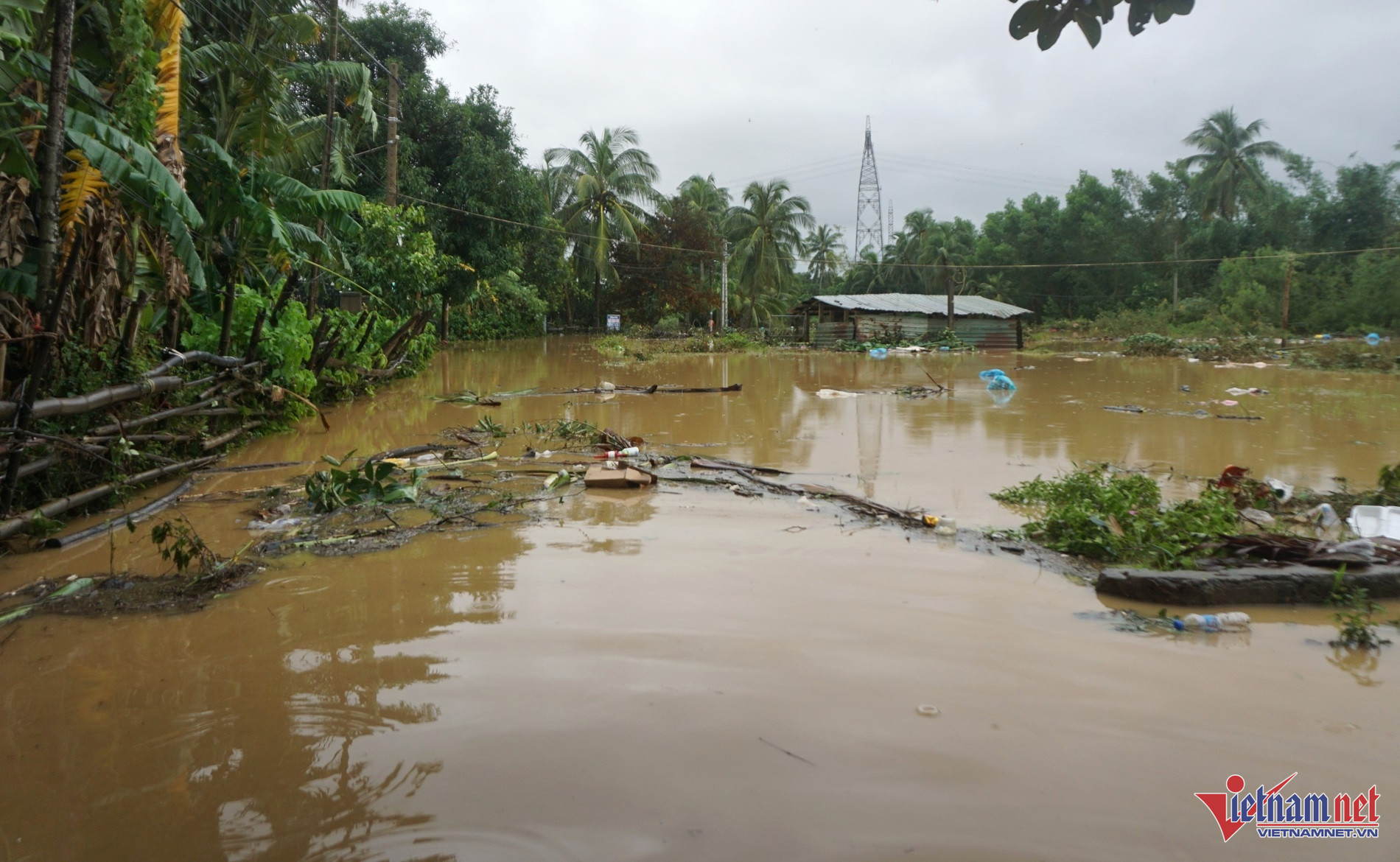 Khu vực thôn Trường Định sát bên sông Cu Đê bị ngập sâu