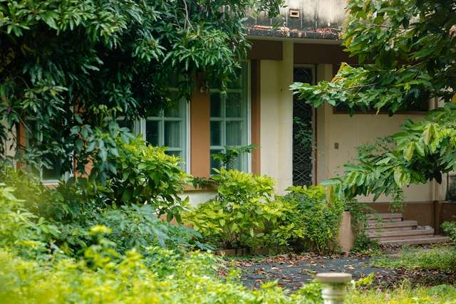 Ghi nhận phía bên trong những ngôi biệt thự, hầu hết đều đã xuống cấp nghiêm trọng, cây cối mọc um tùm