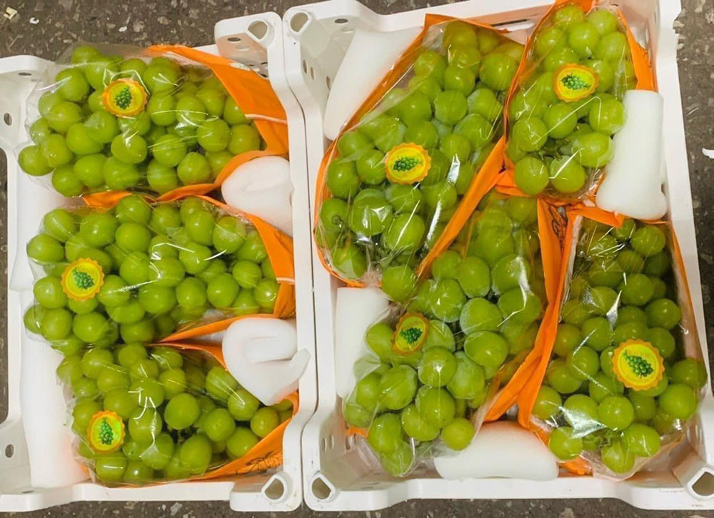 Nhiều đầu mối rao bán nho sữa theo thùng với giá chỉ 22.000 đồng/kg. Nếu nhập trên 100 thùng mỗi lần, giá sỉ giảm còn 18.000 đồng/kg. Ảnh: NVCC