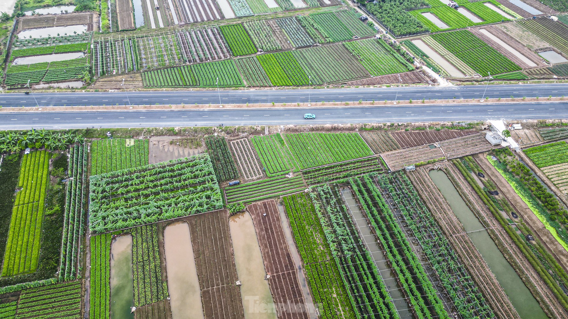 Tuyến đường chạy xuyên qua vựa cây cảnh, vùng trồng rau xanh thuộc các huyện Văn Giang và Yên Mỹ (tỉnh Hưng Yên).