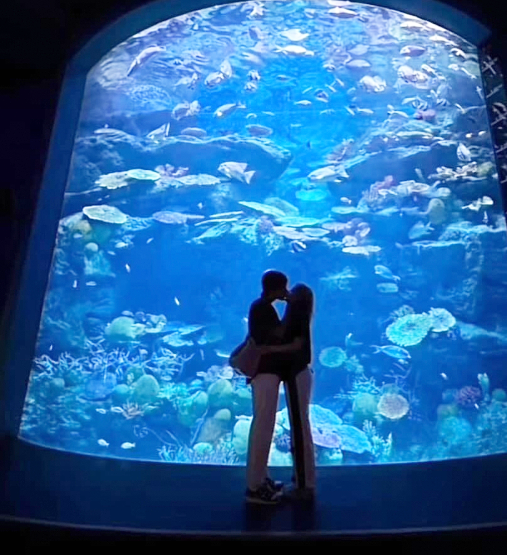 Tải khoản được cho là để đăng tải khoảnh khắc cặp đôi có hình ảnh hôn nhau, người đàn ông có chiều cao hao hao Hải Đăng Doo