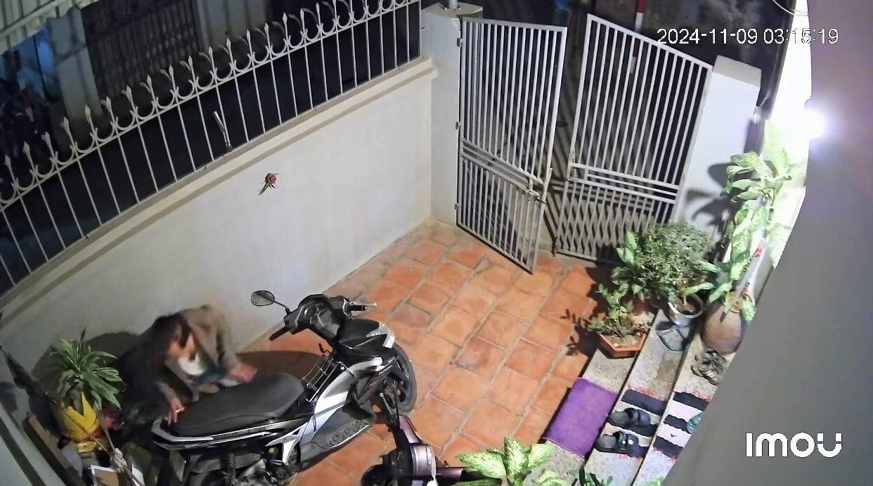 Hình ảnh được cô gái chia sẻ