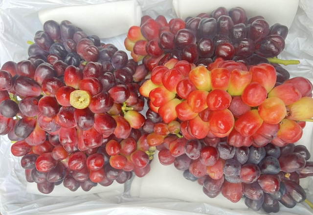 Nho trái tim Trung Quốc