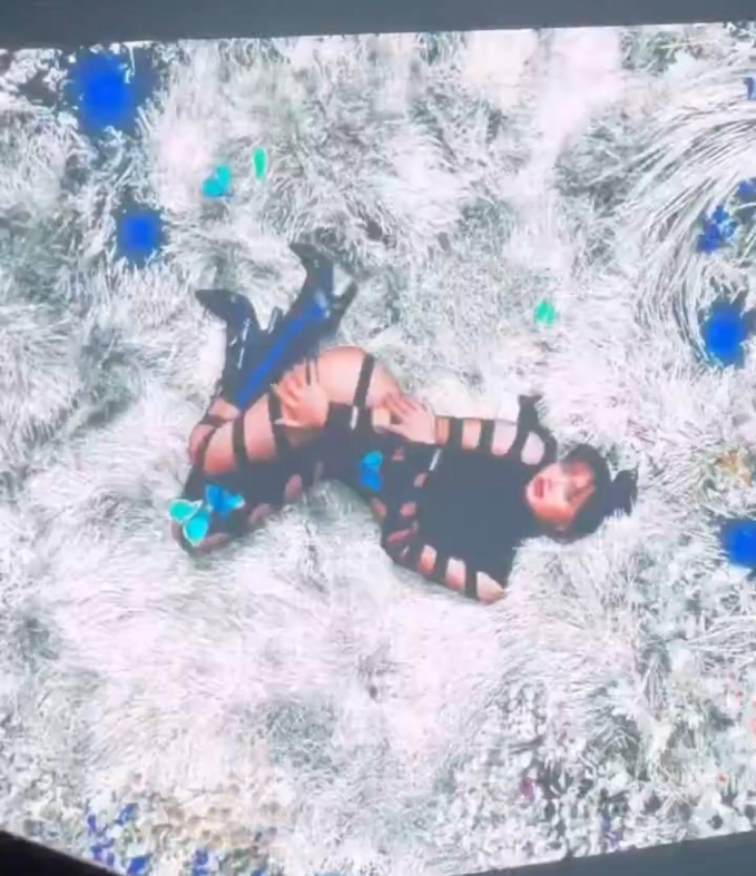 Hình ảnh được cắt ra từ video khiến Lisa vấp phải tranh cãi