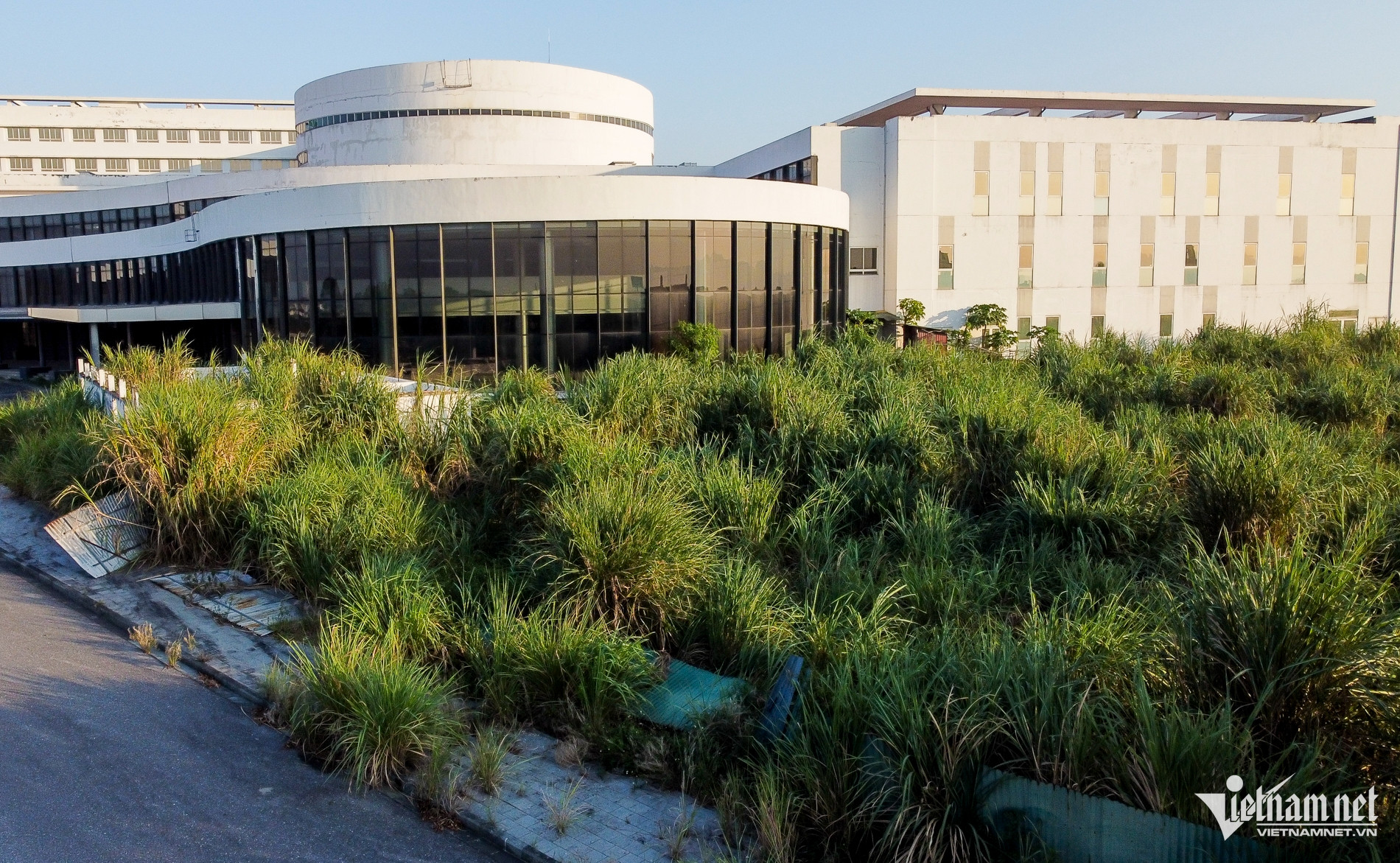 Khuôn viên bệnh viện bị nhiều cỏ dại xâm lấn.