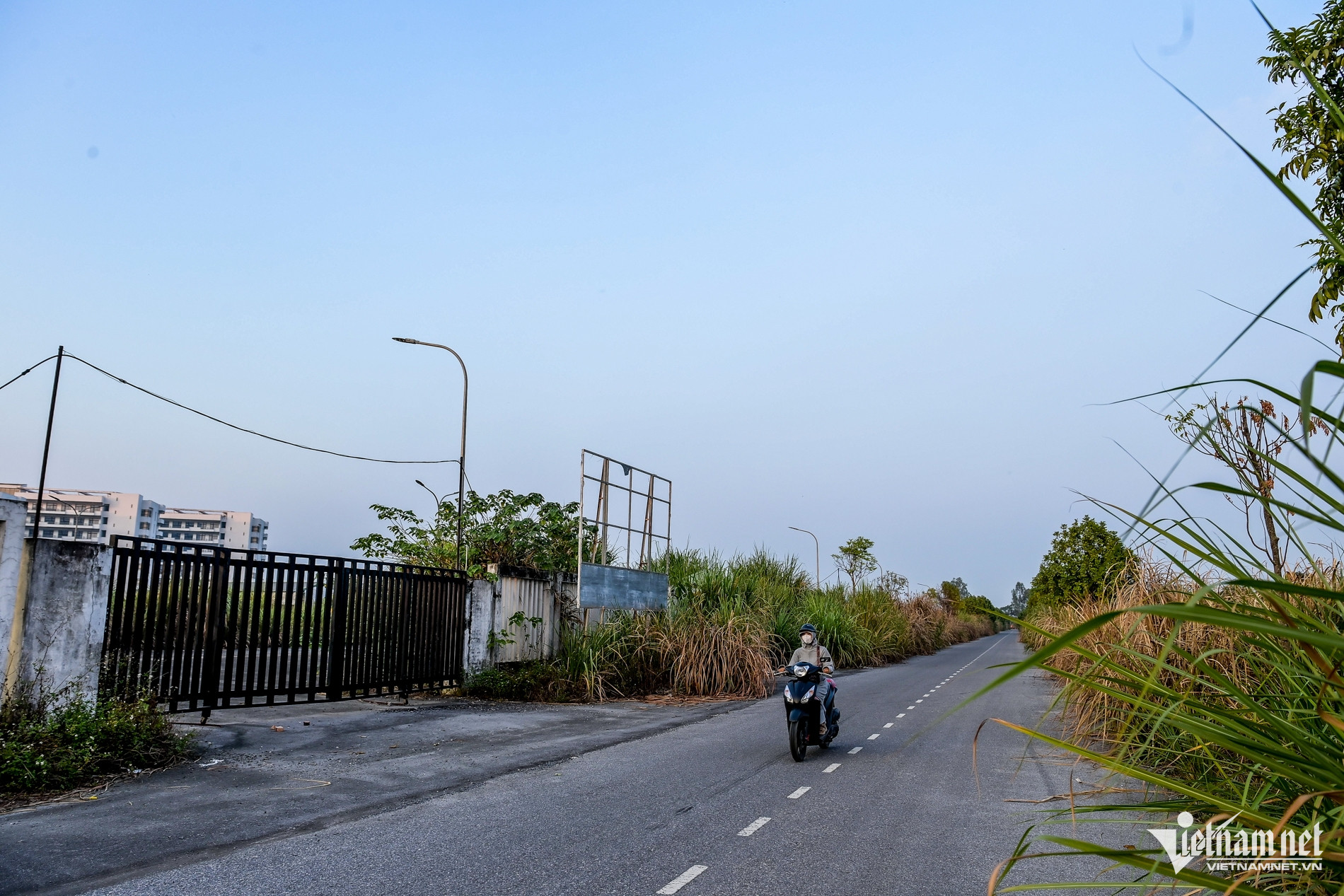 Cỏ dại ngoài khuôn viên bệnh viện mọc cao hơn đầu người.