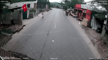 Đoạn clip khiến nhiều người phải thốt lên quá may mắn vì 