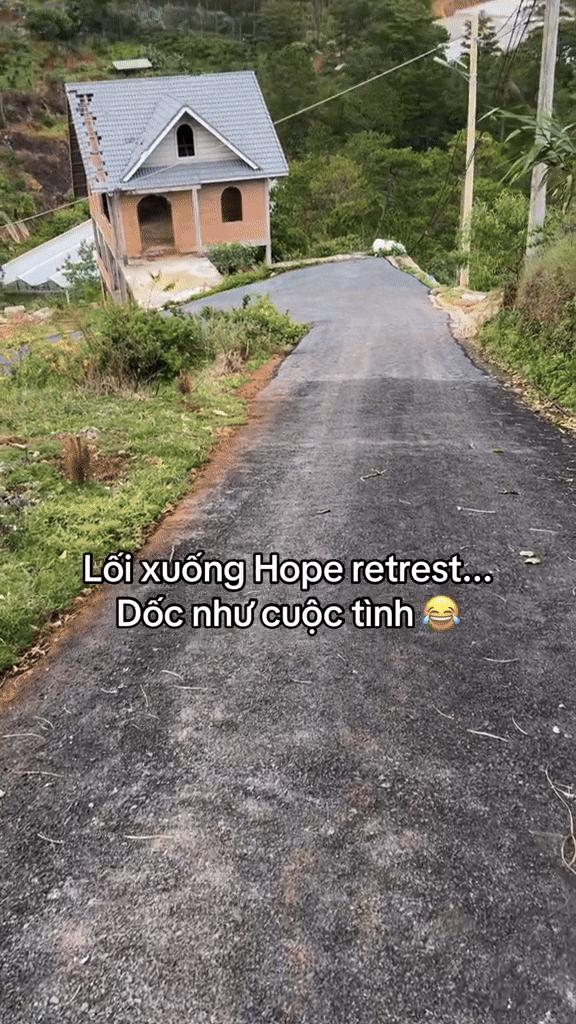 Căn villa có tên là Hope Retreat, nằm trên con dốc có view hướng ra rừng thông