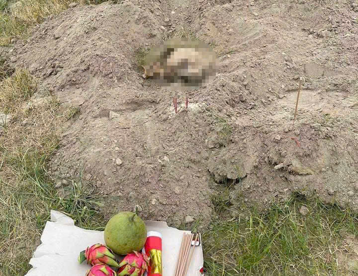 Hiện trường nơi tìm thấy hộp sọ tại bãi bồi sông Hồng. Ảnh: HN