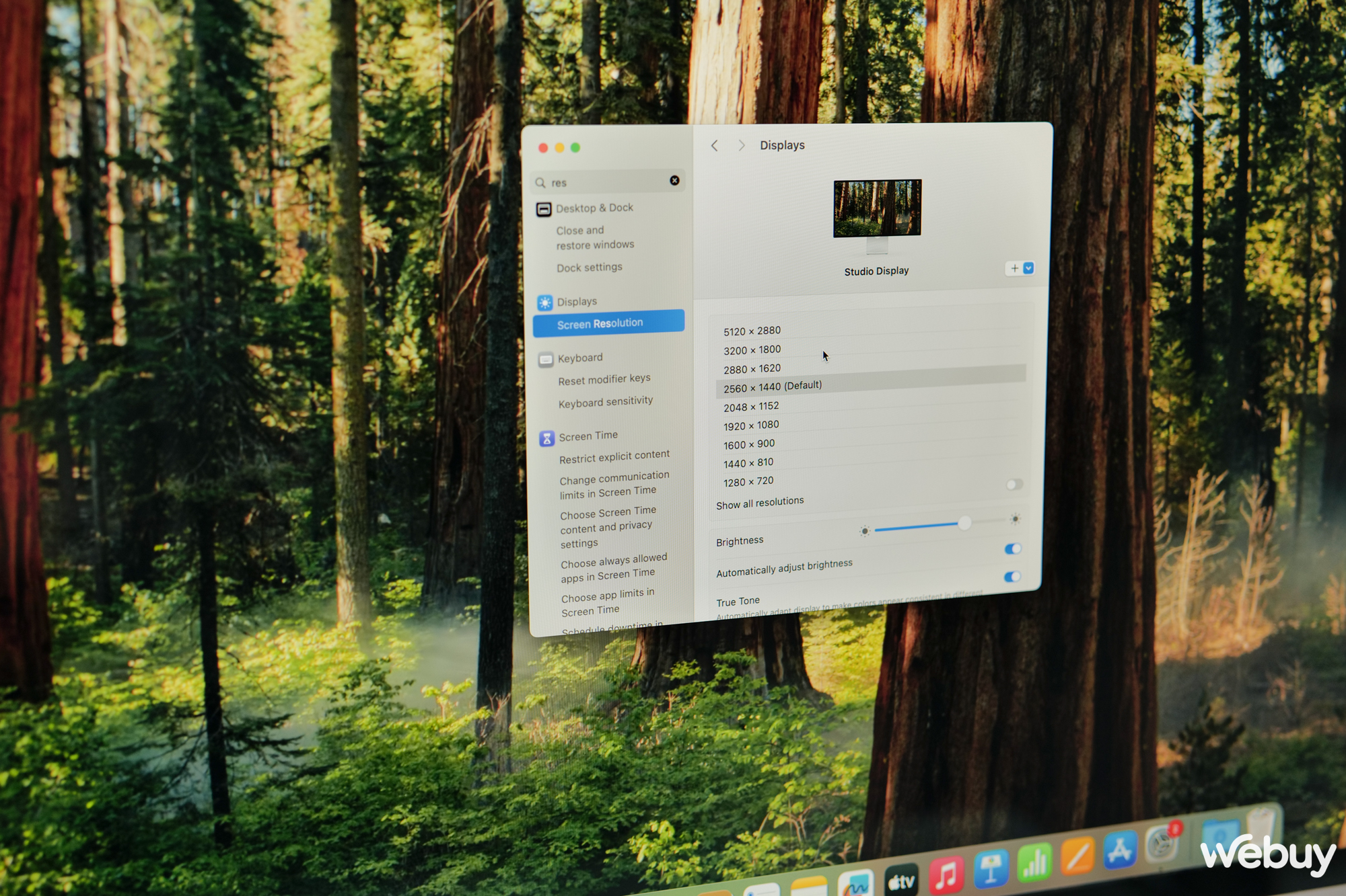 Theo mặc định, Mac mini sẽ dùng độ phân giải 2560x1440p, nhưng Studio Display hỗ trợ lên đến 5K nên tôi phải cài đặt lại. Ngoài ra một số màn hình bên thứ ba có thể sẽ mặc định ở FullHD, bạn nên vào Settings kiểm tra lại để có độ phân giải như ý.
