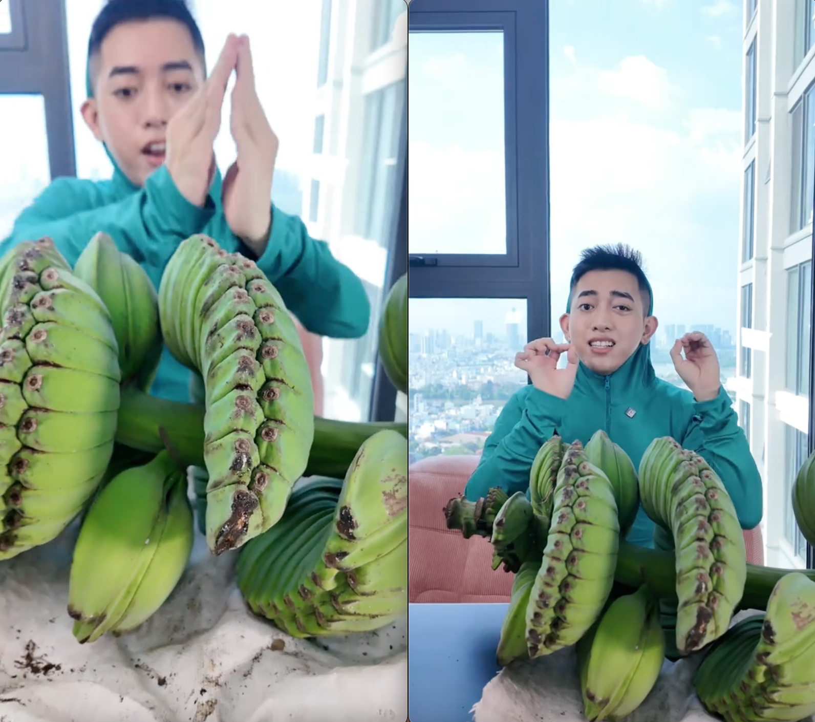 Mỗi nải chuối như 2 bàn tay chắp lại