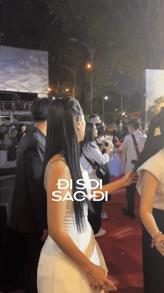 Nam Thư giật mình không đang tìm 