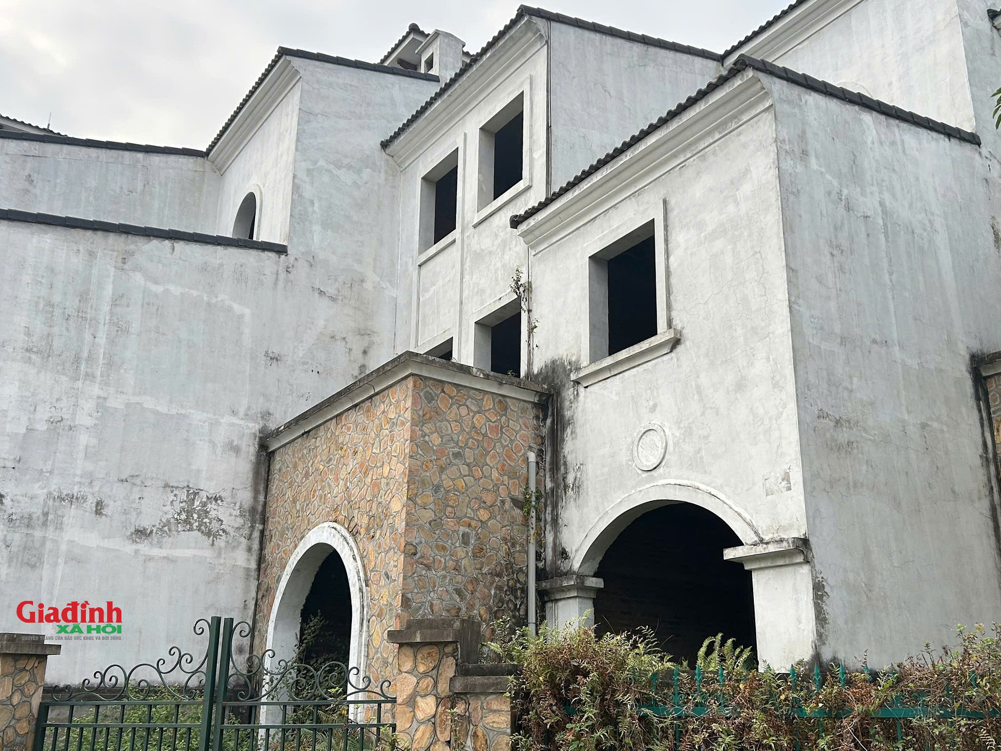 Bao quanh những ngôi nhà triệu đô đắt đỏ là cỏ dại mọc cao quá đầu người, cùng với đó là rác thải tràn ngập.