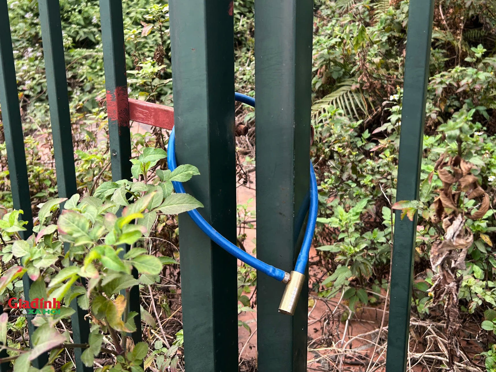 Trong bối cảnh nhu cầu về nhà ở tăng cao, nhiều người gặp khó khăn trong việc sở hữu nhà ở. Việc nhiều căn biệt thự được xây dựng khang trang rồi bỏ hoang gây lãng phí nghiêm trọng.