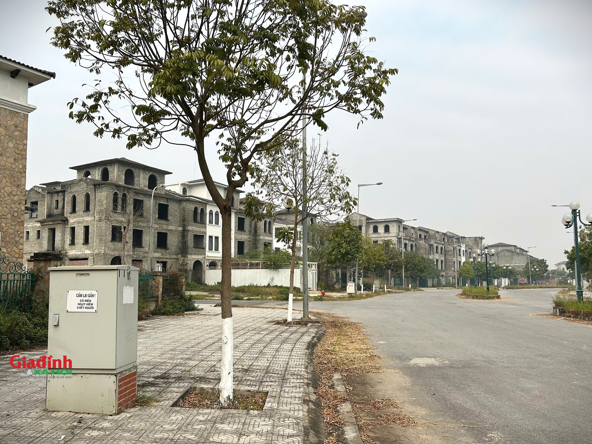 Con đường chính dẫn vào các khu biệt thự rất vắng vẻ, hoang tàn, không một bóng người.