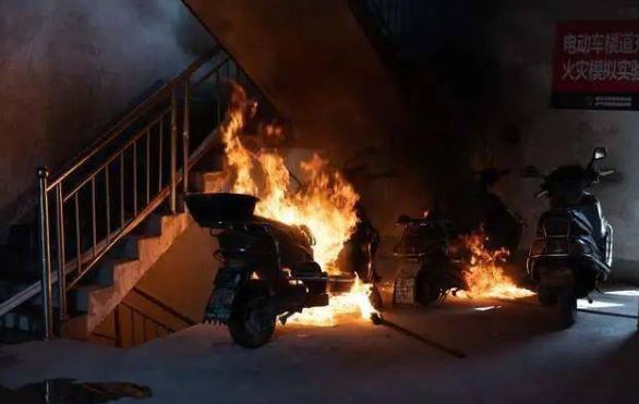 Ảnh minh họa: Internet